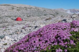 V G Tation Alpine Comprendre Les Terrains Pour Une - Randonnée - Test et avis