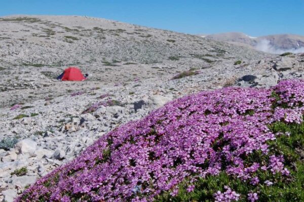 V G Tation Alpine Comprendre Les Terrains Pour Une - Randonnée - Test et avis