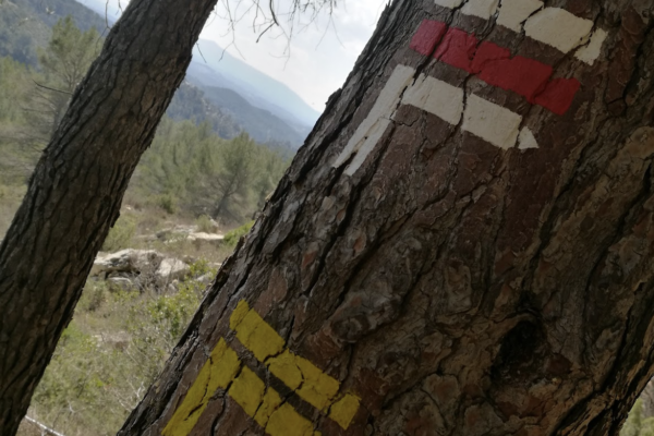 sentiers-de-randonnee-blanc-jaune-blanc-rouge-quel