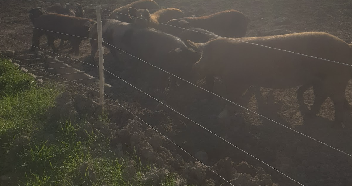 traverser-un-enclos-prive-quelle-responsabilite